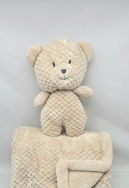 Teddy Bear Baby Gift Basket